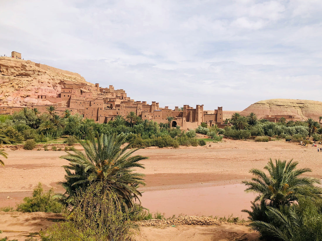 The Curious Story of Argan Oil A Miracle in the Moroccan Desert